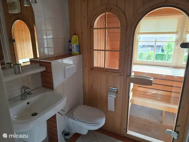 Badkamer boven met douche en sauna en wastafel en toilet